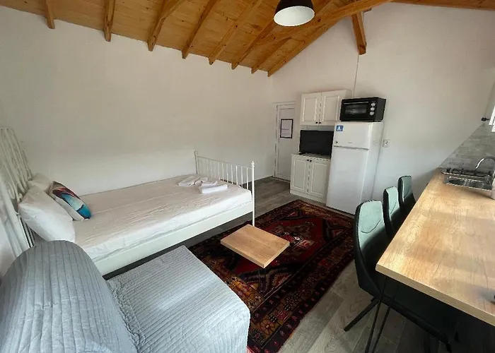 Cozy In Willa Ardino